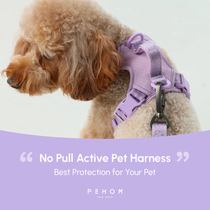 NO PULL ACTIVE  PET HARNESS - MINT PURPLE