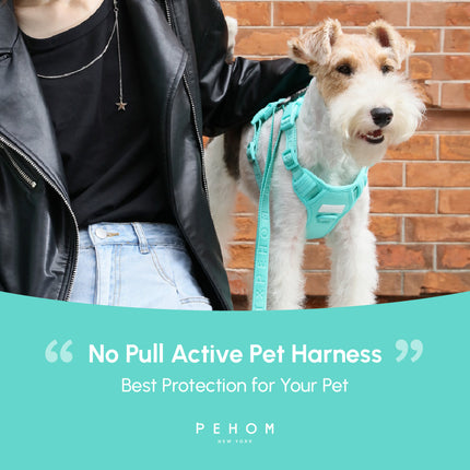 NO PULL ACTIVE  PET HARNESS - MINT GREEN