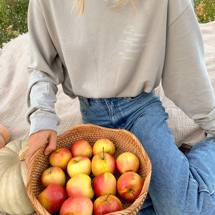 Fruit of the Spirit Grey LS Unisex Tee