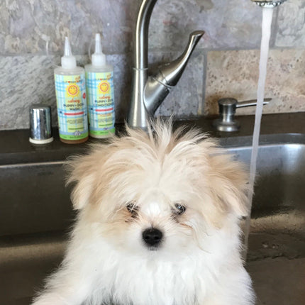 Calming™ Puppy + Dog Wash & Conditioner Set