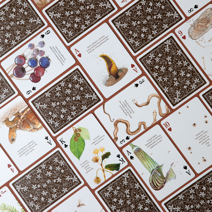 Eastern Forest Playing Cards