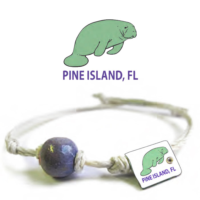 Manatee | Pine Island Fl