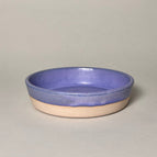 Periwinkle Violet