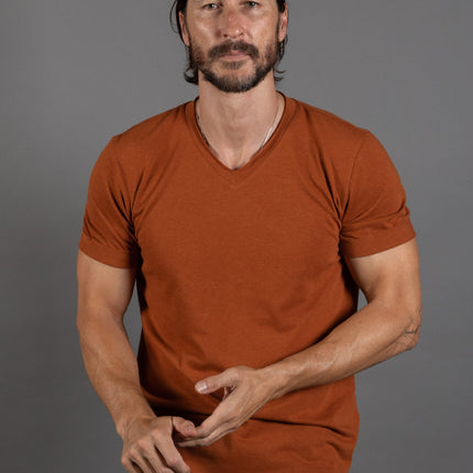 Men's Tri-Blend Stitch Sleeve V-Neck Tee