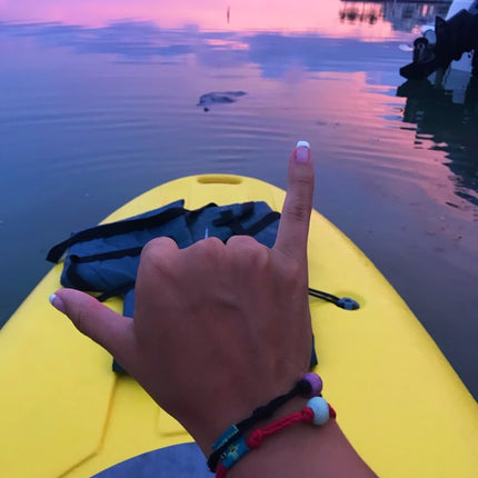 Lake Michigan, MI
