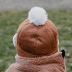 Brown Bear