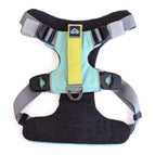 Riptide Teal / Extra Small - Chest 13-17in - Neck 8-12in.