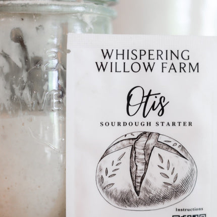 Otis | Sourdough Starter