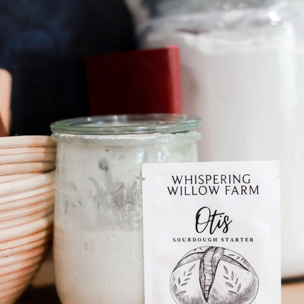 Otis | Sourdough Starter