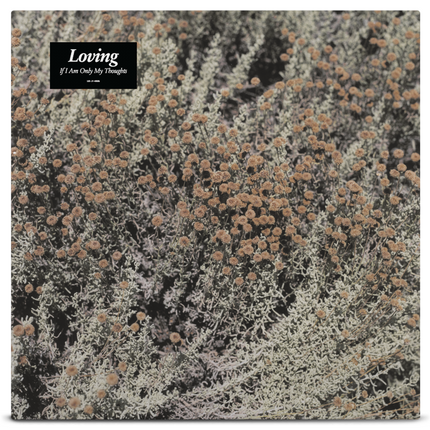 Loving - If I Am Only My Thoughts
