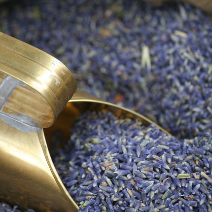 Lavender Flowers, Whole