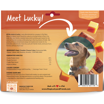 Steak & Cheddar Cheese Bites Dog Treats