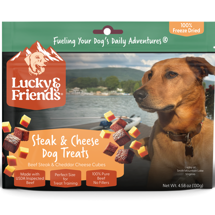 Steak & Cheddar Cheese Bites Dog Treats
