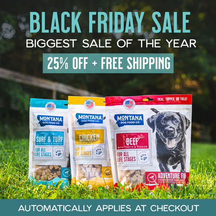 Grain-Free Beef Freeze-Dried Raw Adventure Fuel (Dog Food)
