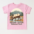 Pink Short Sleeve Tee / 2T Kids