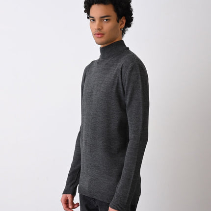 Turtleneck Knit Sweater