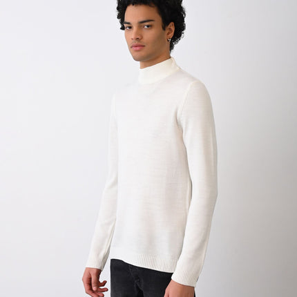 Turtleneck Knit Sweater