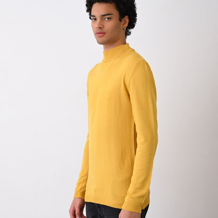 Turtleneck Knit Sweater