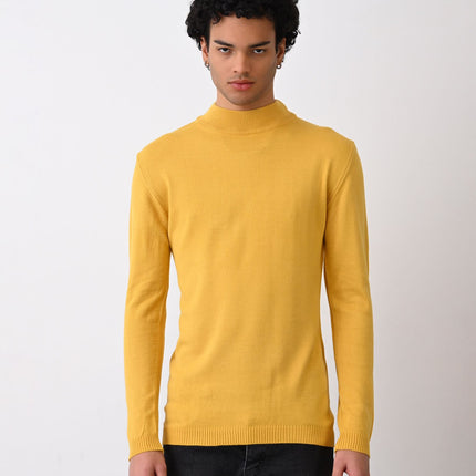 Turtleneck Knit Sweater