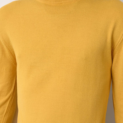 Turtleneck Knit Sweater