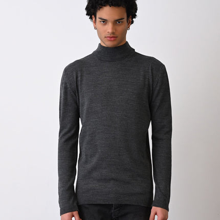 Turtleneck Knit Sweater