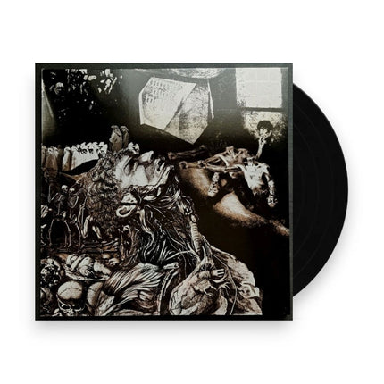 Nurse With Wound – Merzbild Schwet (LP Vinyl)