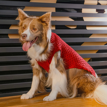 Pet Sweater Vest - Red