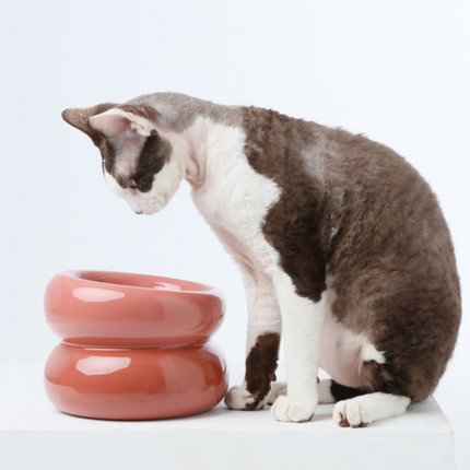 Soufflé Pet Bowl - Rose Pink