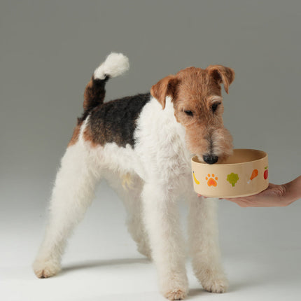 Nomnom Bowl