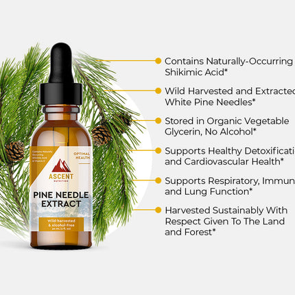 Pine Needle Extract, Pine Needle Tea Alternative, 267 mg