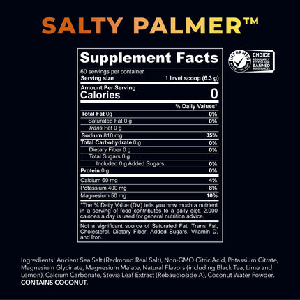 Re-Lyte® Hydration Limited Edition / Salty Palmer  Iced Tea Lemonade (60 servings)