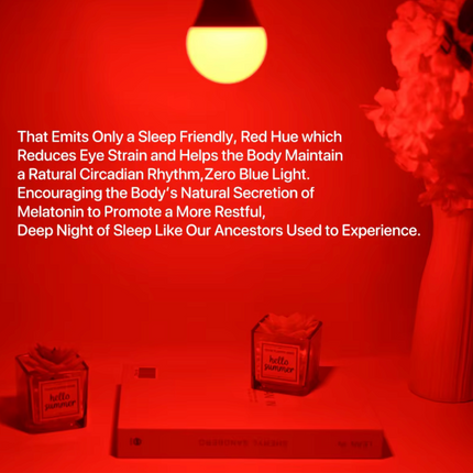 Lightbulb Circadian Friendly - Red