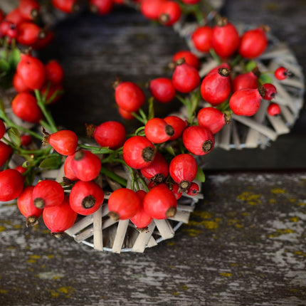Rosehips Seedless, Cut, Sifted