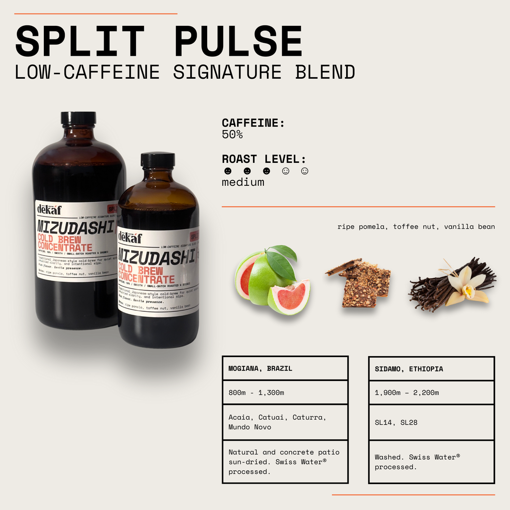 Split Pulse Mizudashi Cold Brew Concentrate