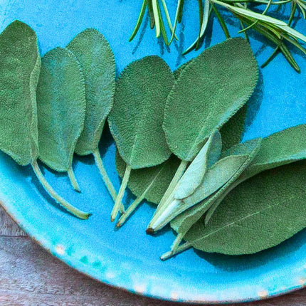 Sage Powder