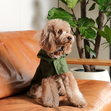 Capsule Raincoat - Green