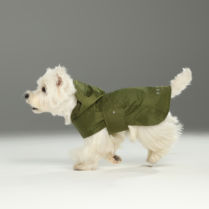 Capsule Raincoat - Green