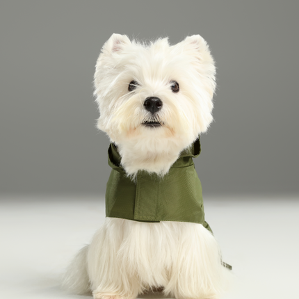 Capsule Raincoat - Green