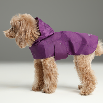 Capsule Raincoat - Purple