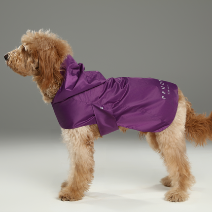 Capsule Raincoat - Purple
