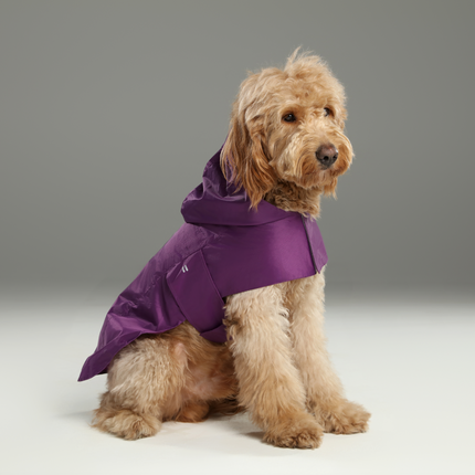 Capsule Raincoat - Purple