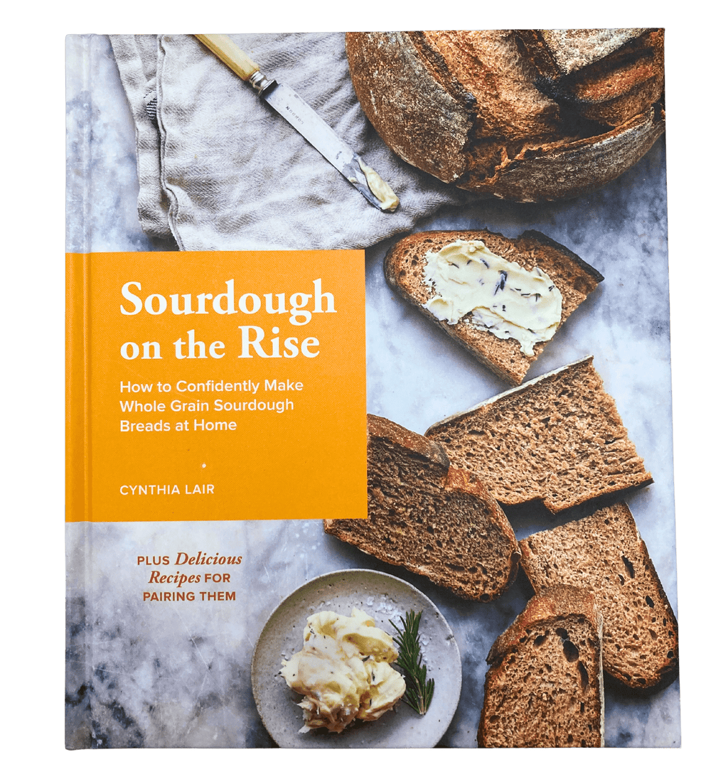 Sourdough On The Rise by Cynthia Lair