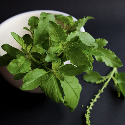 Tulsi Holy Basil Leaf, Granules