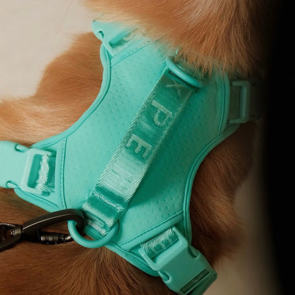NO PULL ACTIVE  PET HARNESS - MINT GREEN