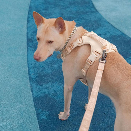 NO PULL ACTIVE  PET HARNESS - APRICOT