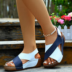 Blue And White / 36