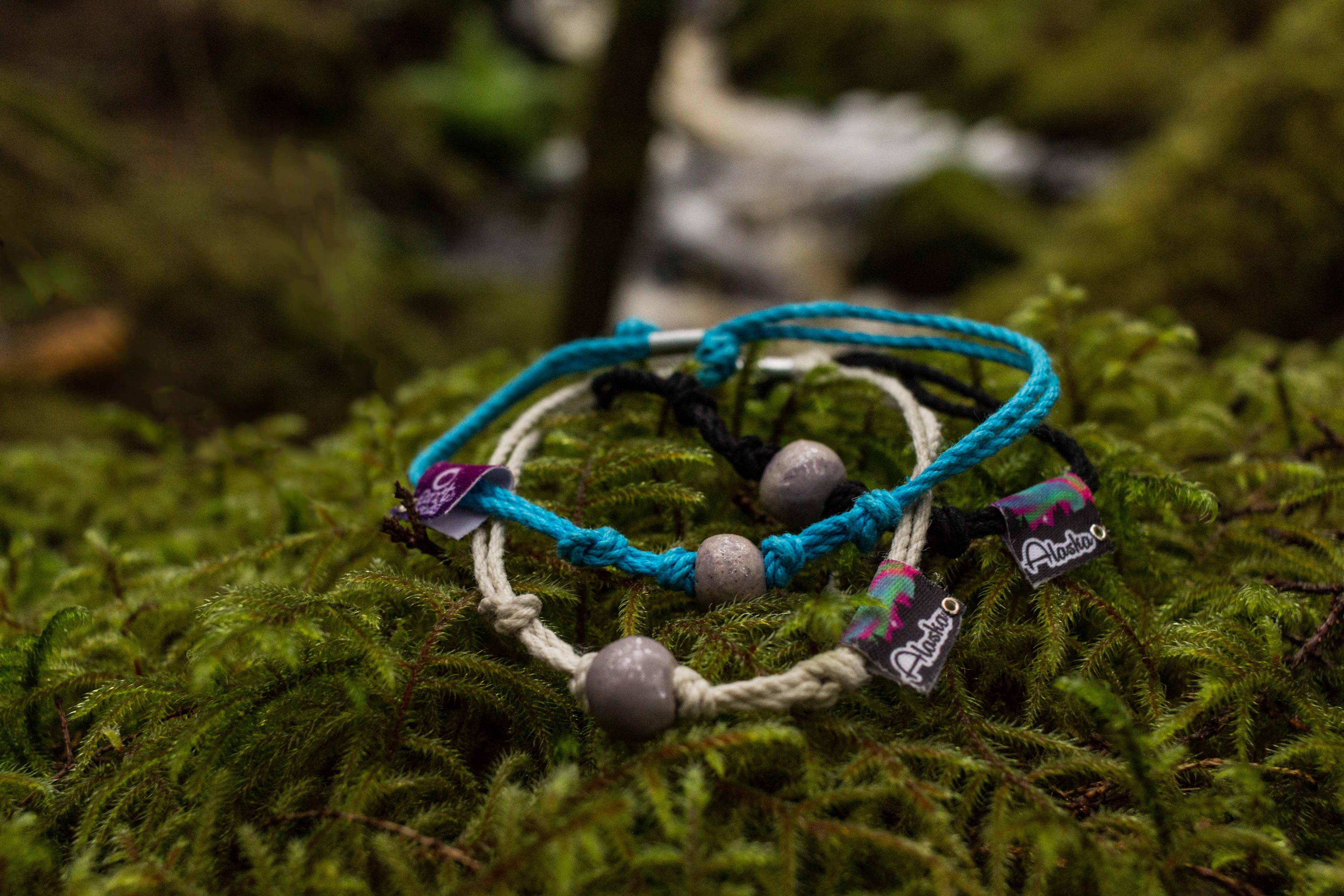 Alaska Northern Lights