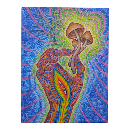 Alex Grey Flesh of the Gods Sticker