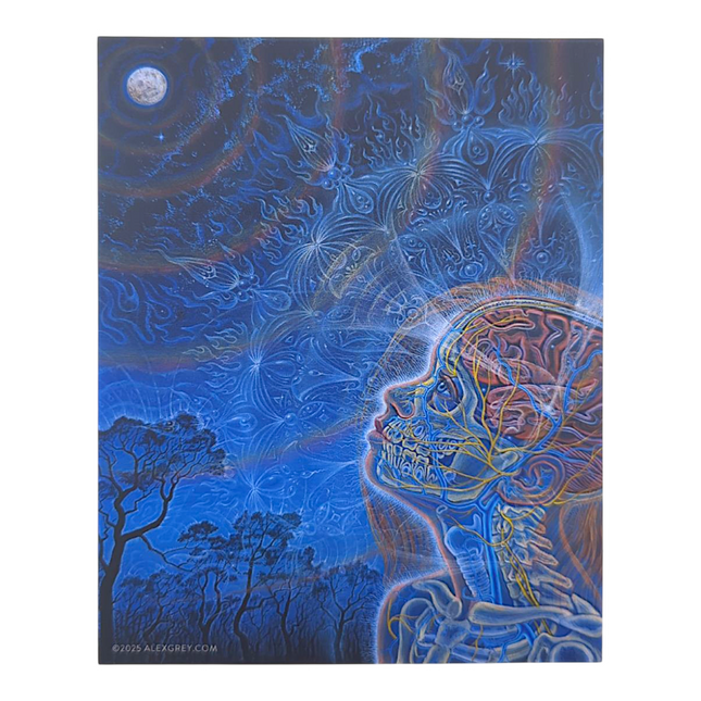 Alex Grey Wonder Sticker