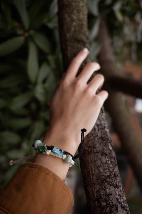 Alaska Northern Lights